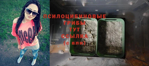 прущие грибы Алексин